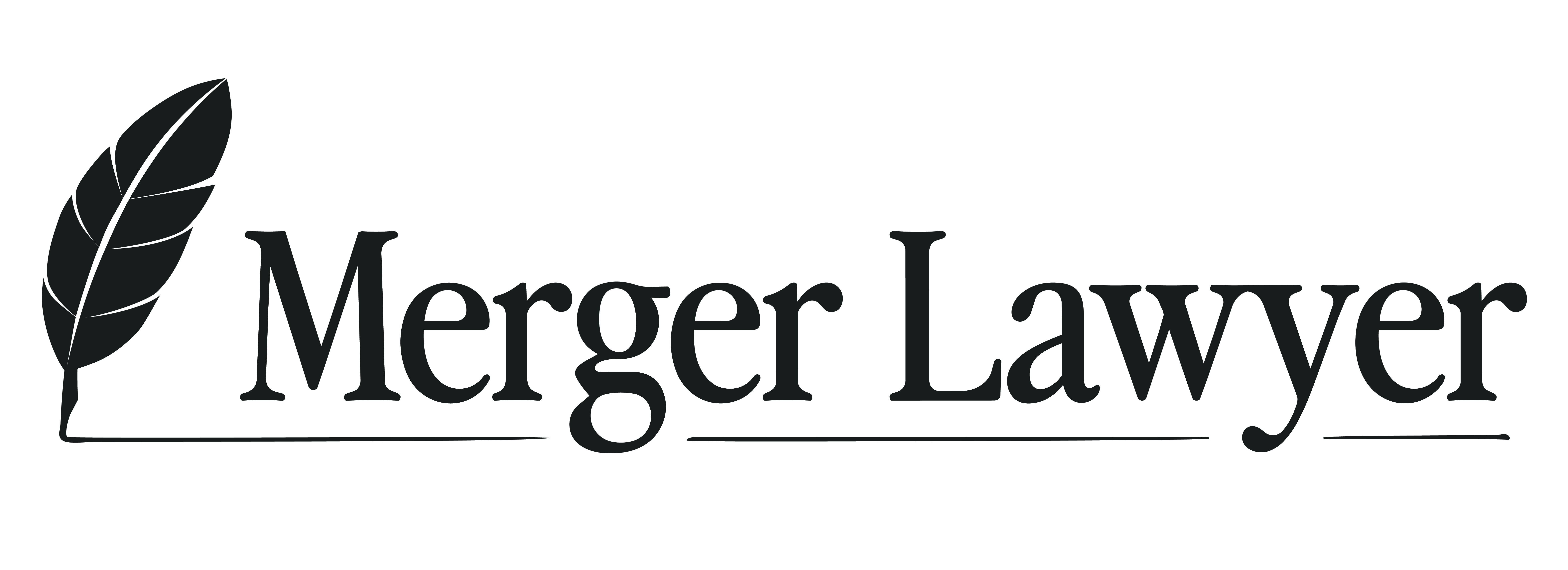 Merger Lawyer